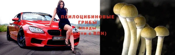 гидра Абинск